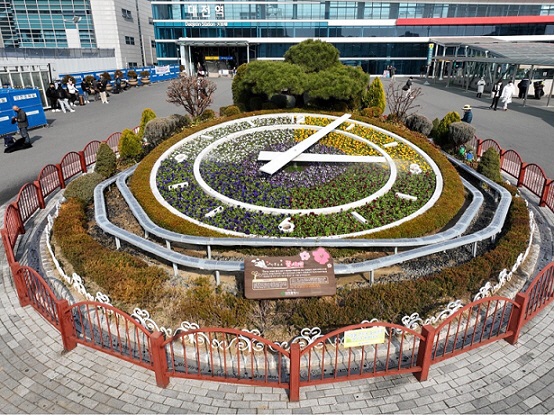 대전역 꽃시계 봄꽃으로 새단장