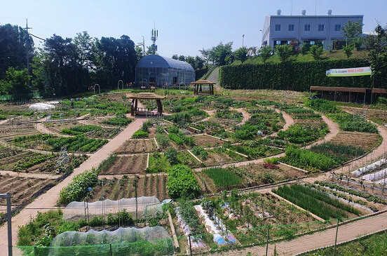 케어팜 도시민 텃밭