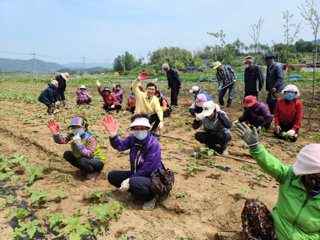 보성군