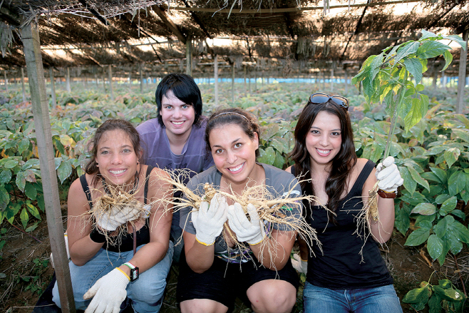 영주 2-3 영주 풍기인삼축제 외국인 관광객 모습
