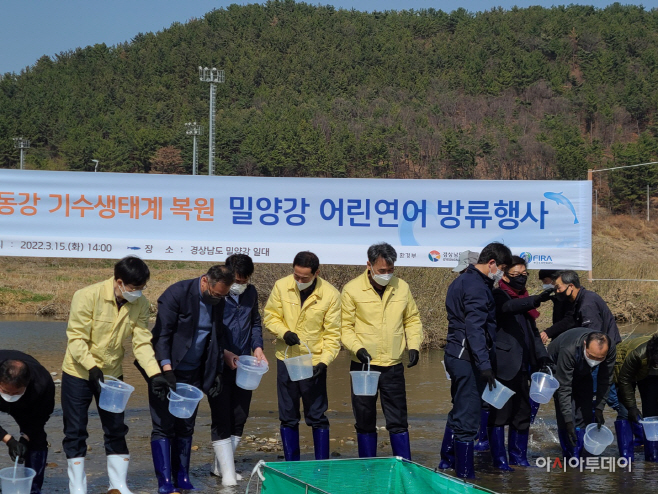 20220315-밀양시 토속어자원 연어 방류 (2)