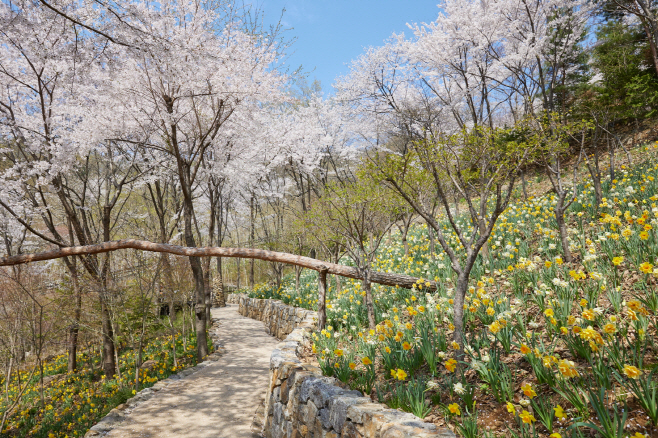 화담숲