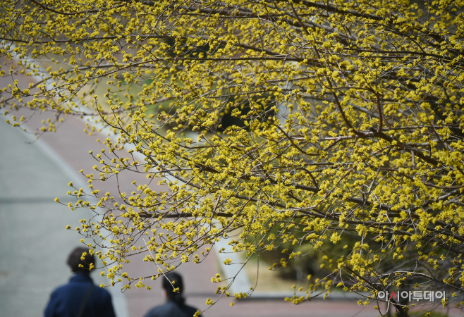 DSC_0317