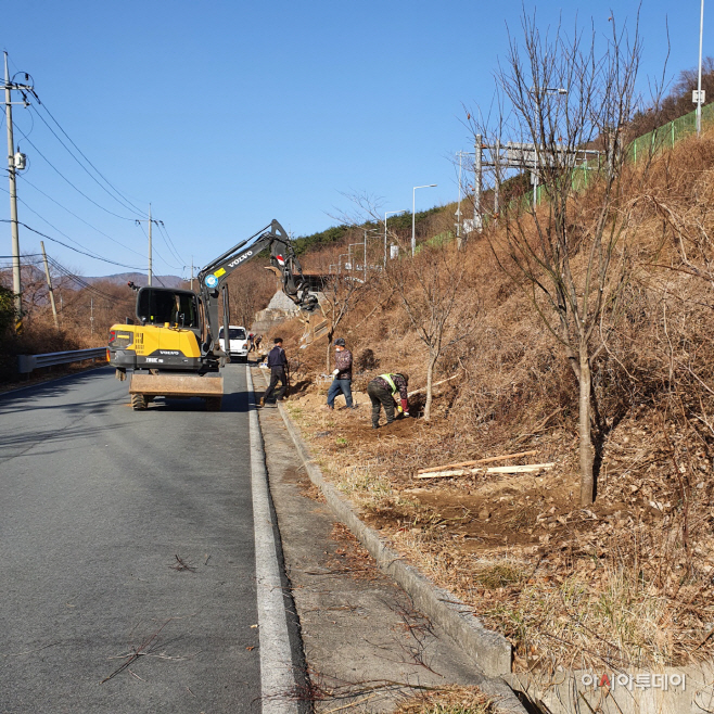20220316-산내면 얼음골 사과향 단풍길 조성 (2)