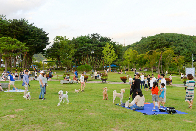 조례호수공원_반려견