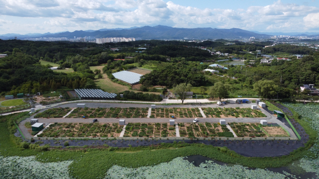 경산시- 경산시, 도시농업 공영농장 성황리에 개장1