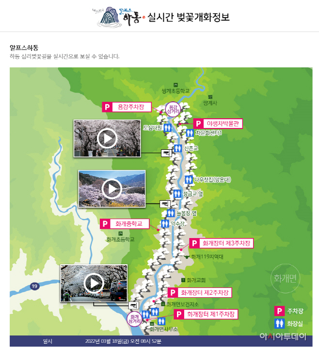 벚꽃개화 서비스