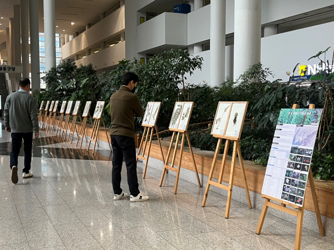 전남도