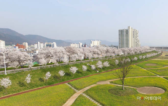 20220322-밀양 비대면 벚꽃 명소 5선 추천(4)