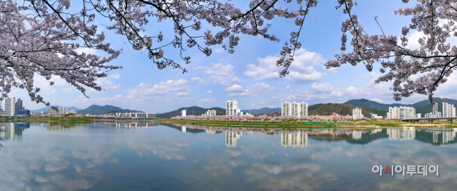 20220322-밀양 비대면 벚꽃 명소 5선 추천(5)