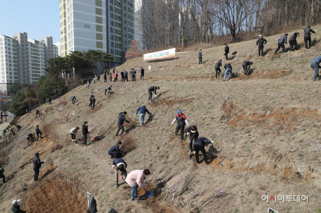 군포 나무심기