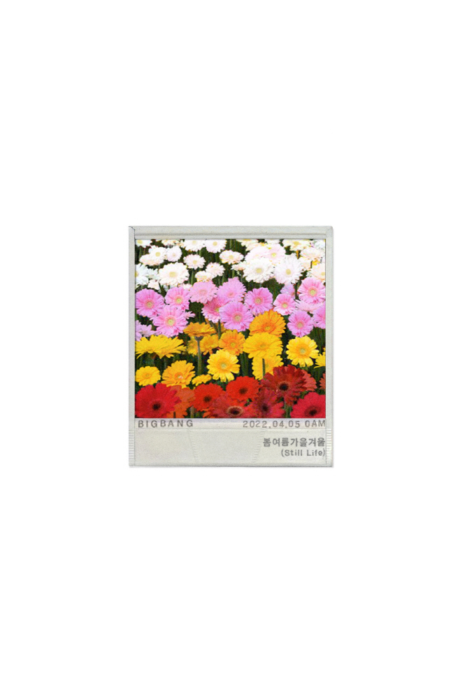 BB_flower