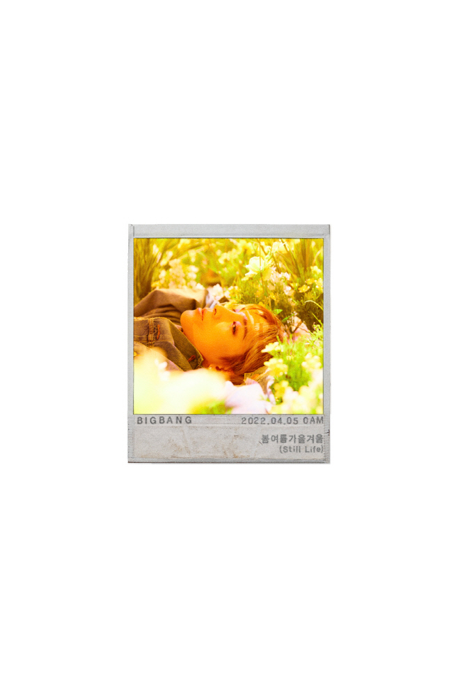 BB TY POSTER