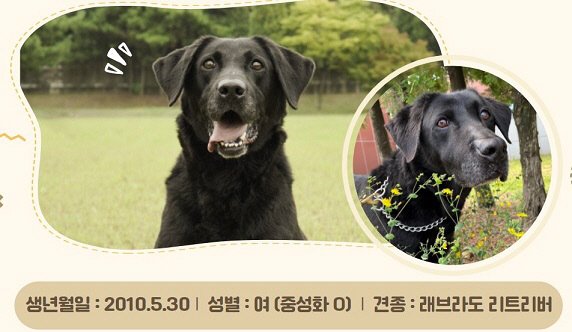 관세