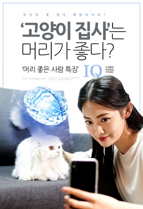 카드 뉴스 이미지