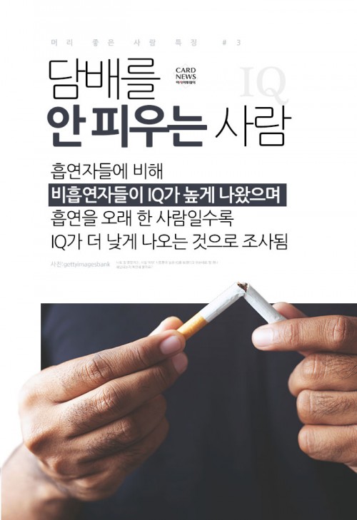 [카드뉴스] 고양이 키우는 사람이 머리가 좋다?… '머리 좋은 사람 특징' - 아시아투데이