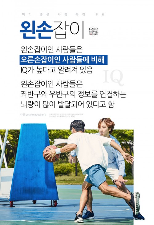 [카드뉴스] 고양이 키우는 사람이 머리가 좋다?… '머리 좋은 사람 특징' - 아시아투데이