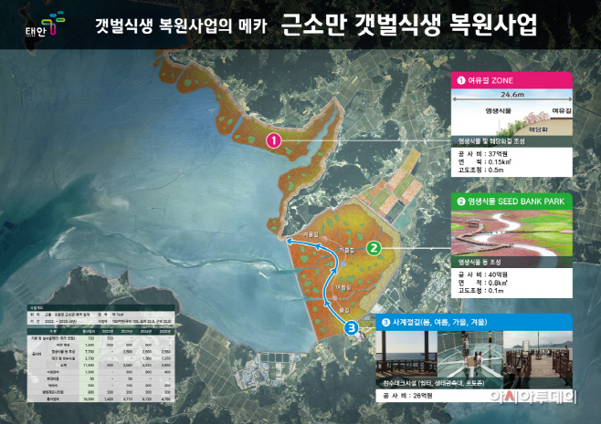 태안군, 갯벌 식생 복원사업 공모에 선정...사업비 150억 확보