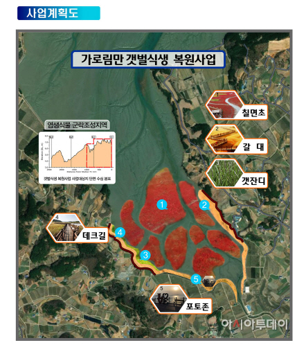 서산시, 갯벌식생 복원사업 공모에 선정...사업비 150억 원 확