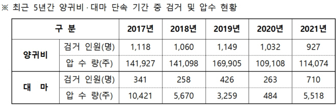 양귀비대마