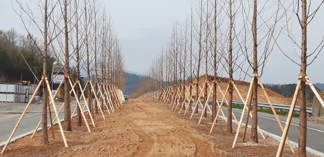 보성군