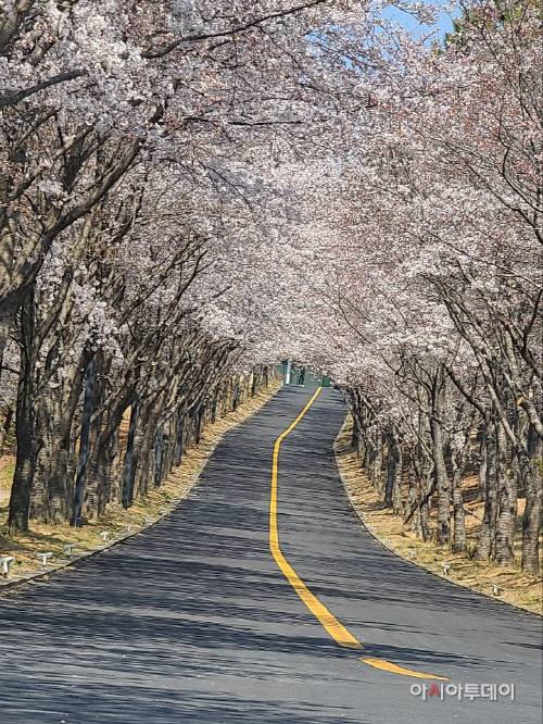 경주보문단지
