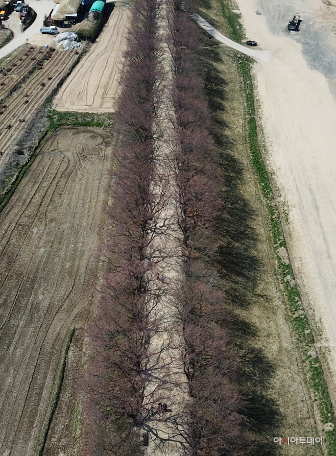 DJI_0655