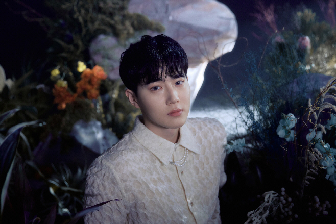 수호