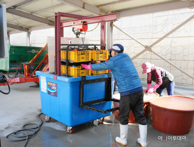 태안군, 키다리병 예방 ‘총력’...볍씨 온탕소독 서비스 추진