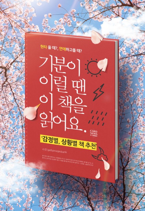 카드 뉴스 이미지