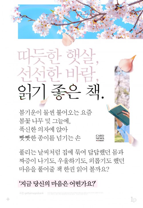 카드 뉴스 이미지