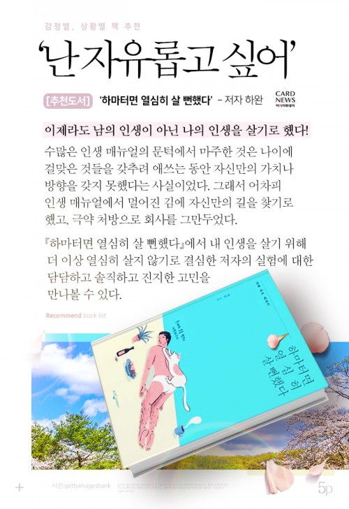 카드 뉴스 이미지