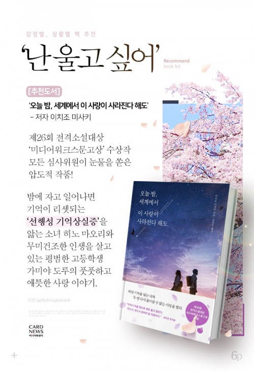 카드 뉴스 이미지