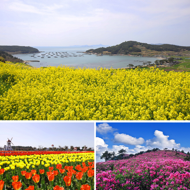 완도 청산도