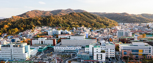 충남대학교병원 전경