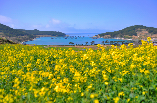 완도군