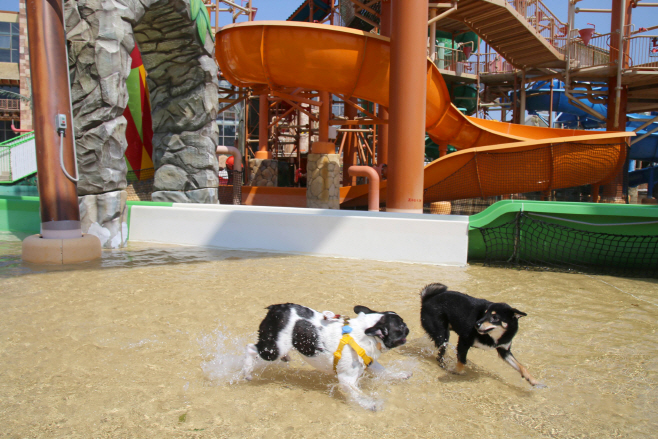 여행/ 롯데워터파크