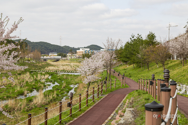 서산시, 성연천 산책로 조성...힐링공간 ‘눈길’