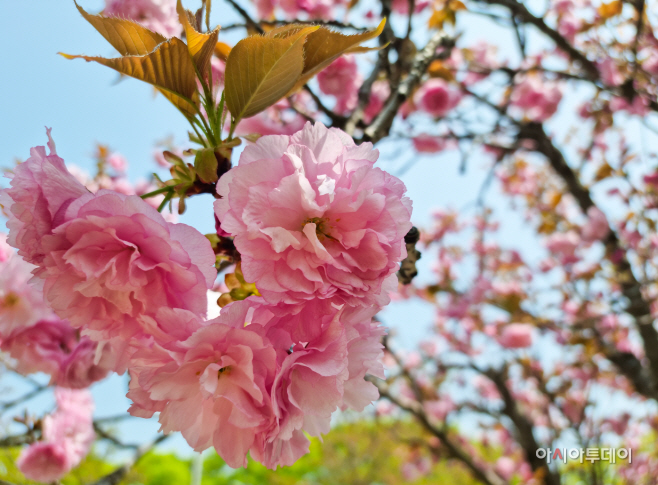 KakaoTalk_20220419_143527878_02
