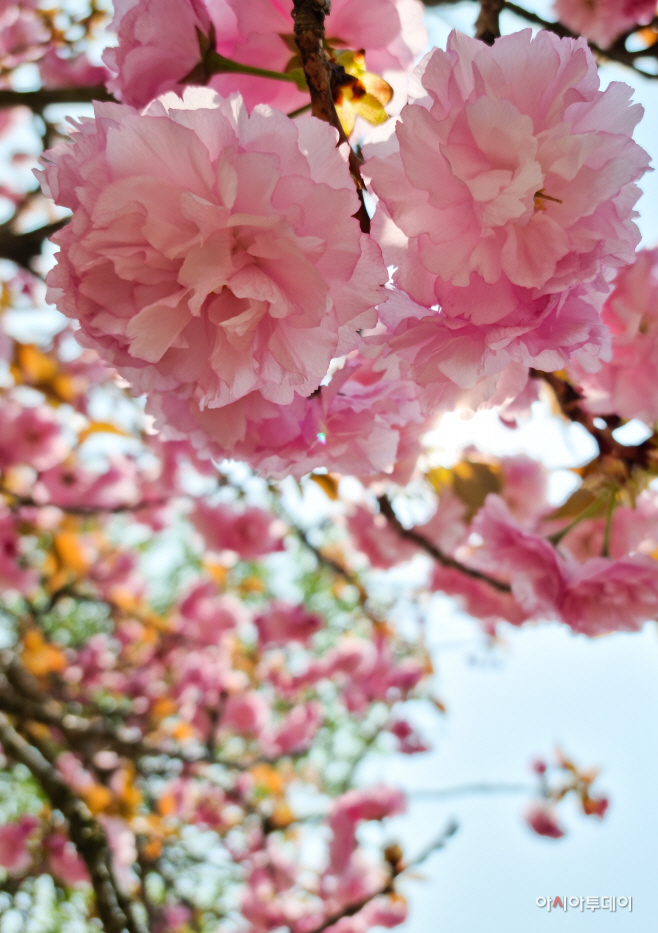 KakaoTalk_20220419_143527878