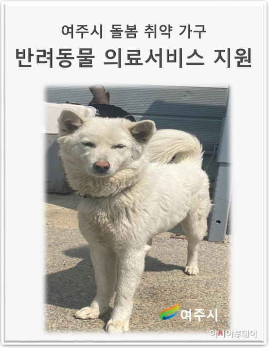 여주시
