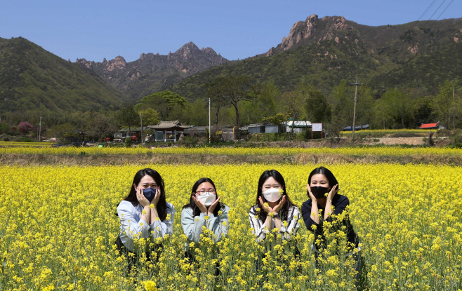 강진군