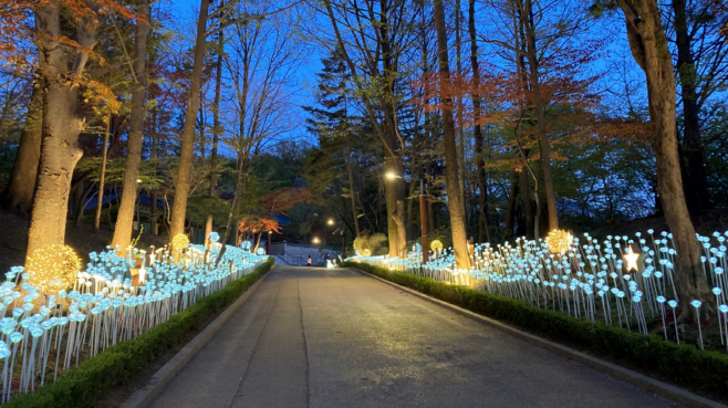 [낙성대공원] 1. LED 별빛산책길 전경