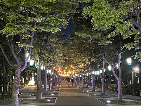 서구청사 앞 보라매공원 야간 경관조명 전경