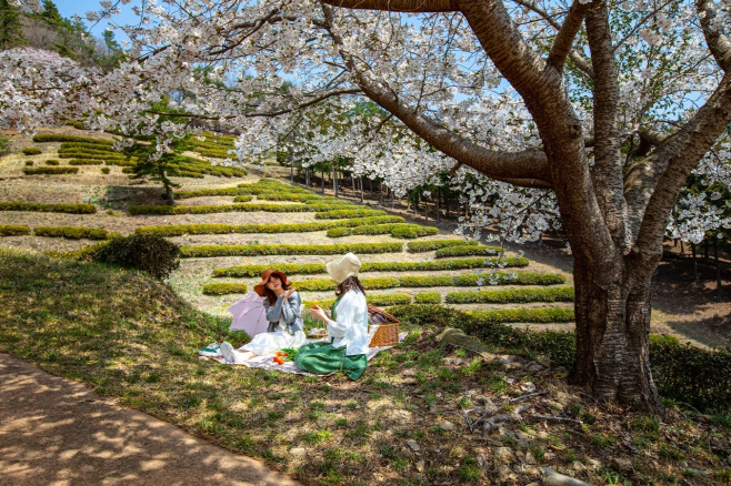 보성군