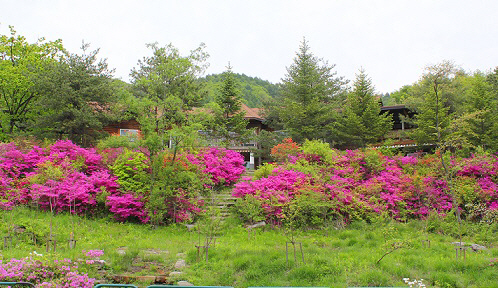 국립청태산자연휴양림 의 모습