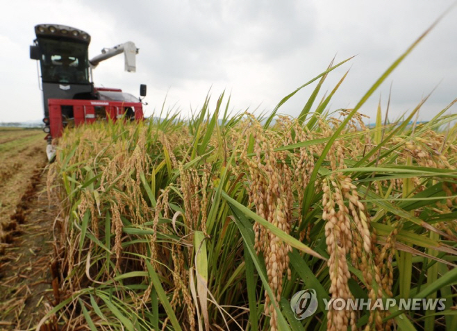 벼 연합사진