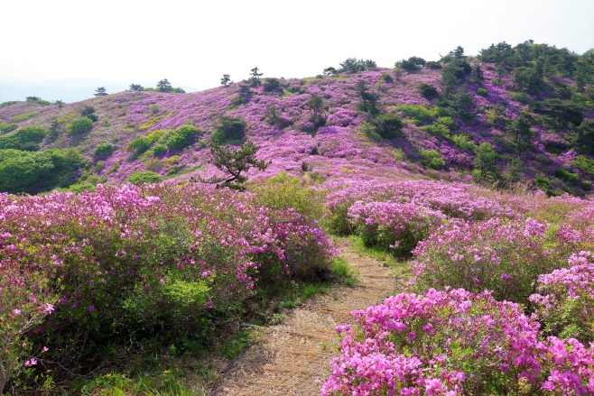 보성군