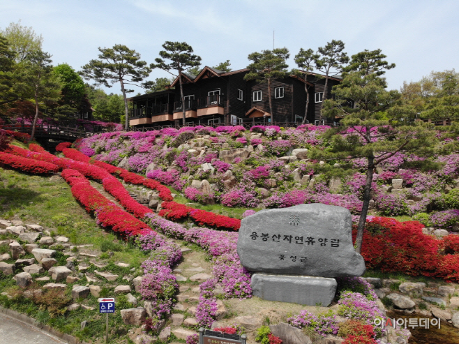 2일 (홍성군, 용봉산 자연휴양림 숙박시설 전부 개방) 2