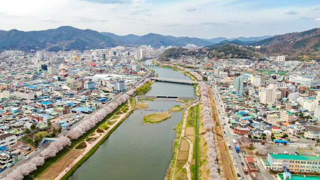 순천시 도심과 동천(벚꽃)